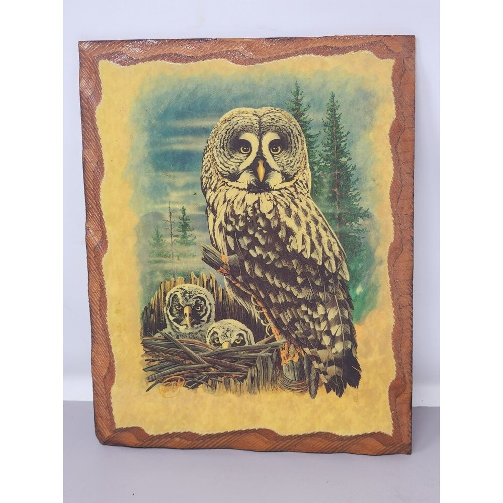 Vintage Great Grey Owl With Owlets Wooden Wall Nature Scene Signed Steve Miller
